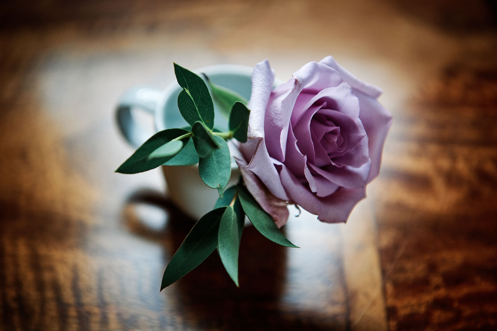 Compton Verney Warwickshire Wedding Photographer Chris Fossey Photography Tracey David